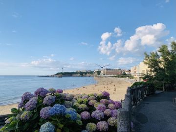 Complete guide to Biarritz, France