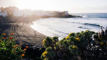 Complete guide to Puerto de la Cruz: what to do and where to go there