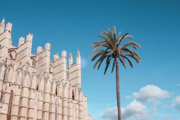 Best things to see in Palma de Mallorca