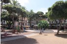 Plaza del Charco © El fosilmaníaco @ @wikimedia.org / CC BY-SA 3.0.